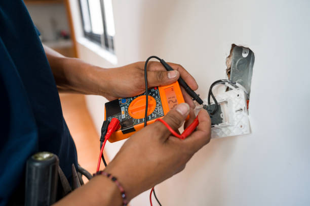 Best Ceiling Fan Installation Electrician  in Trinity, FL